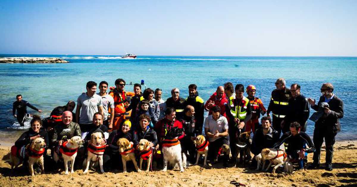 Bal�, Aisha, Ares: i cani da salvataggio, ''angeli del mare'' di Bari
